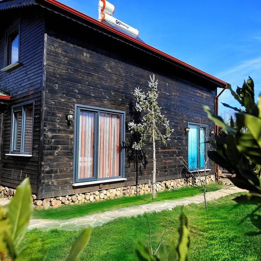 Çınarhan Villas Ağva Extérieur photo